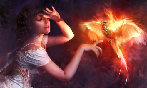 Image phoenix bird with girl, birds, phoenix, Firebird, lighting