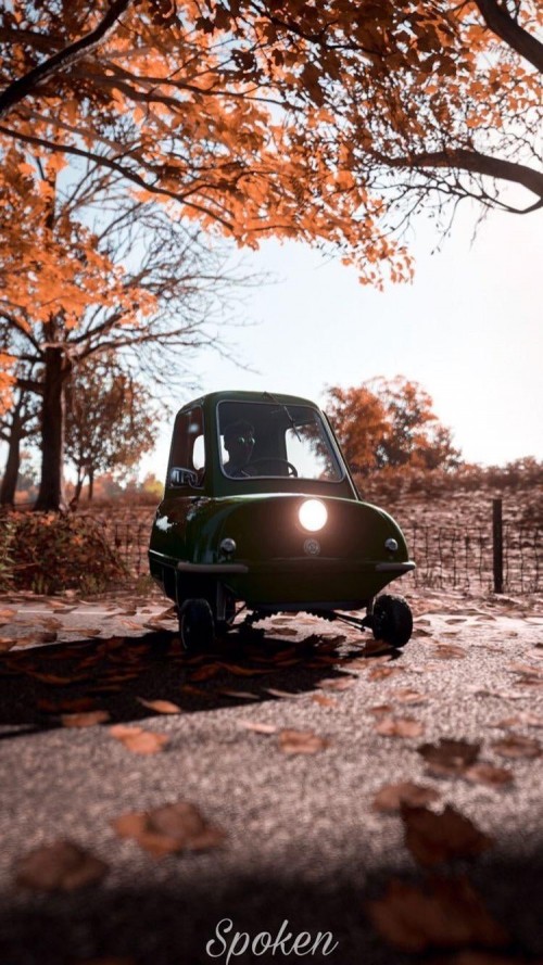 Image tree, cars, tire, wheel, plant