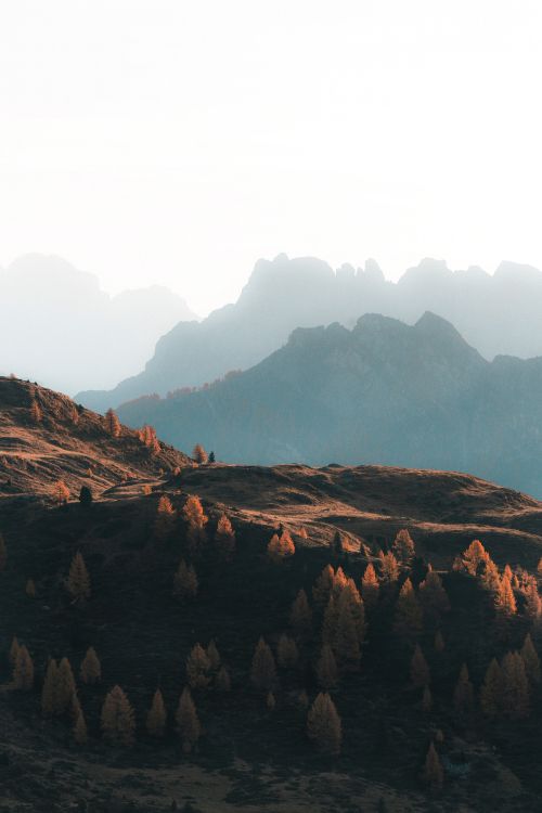 生态区, 斜坡, 自然景观, 日落, 地形 壁纸 3840x5760 允许