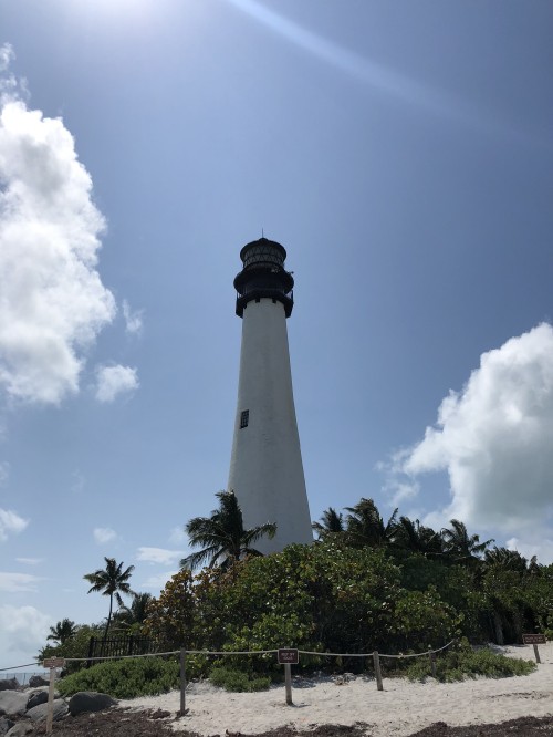 Image miami, miami beach, Lighthouse, vegetation, nature