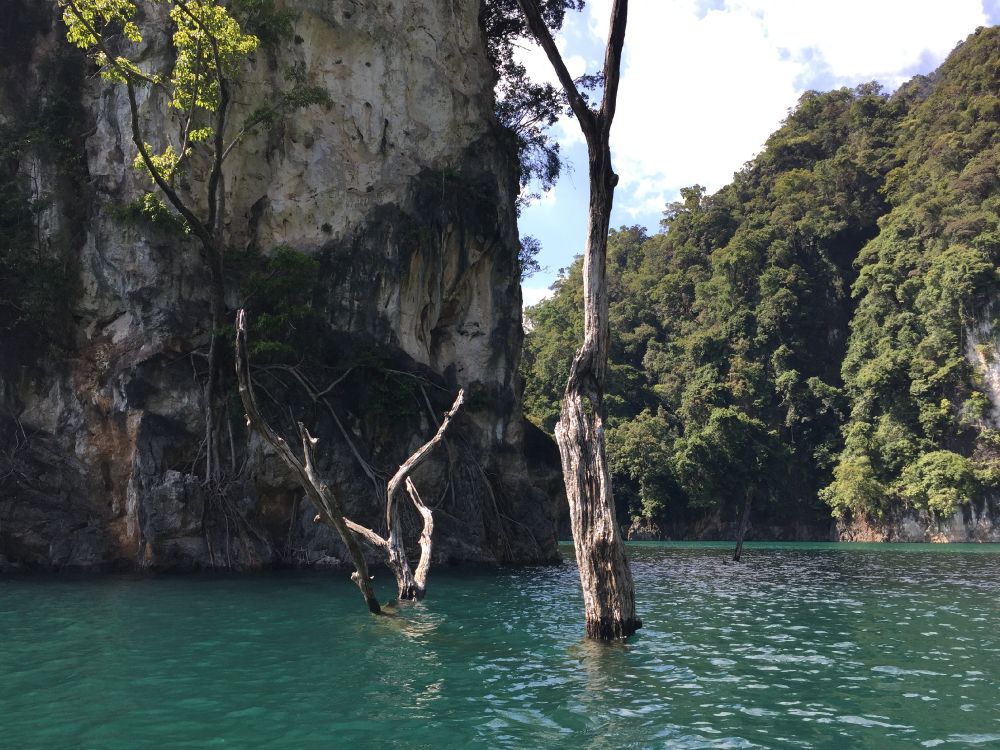 nature reserve, natural landscape, rock, terrain, bedrock