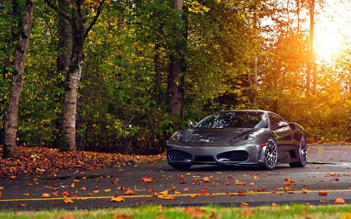 Image black porsche 911 parked on forest during daytime