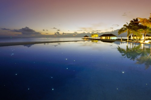 Image body of water near trees during night time