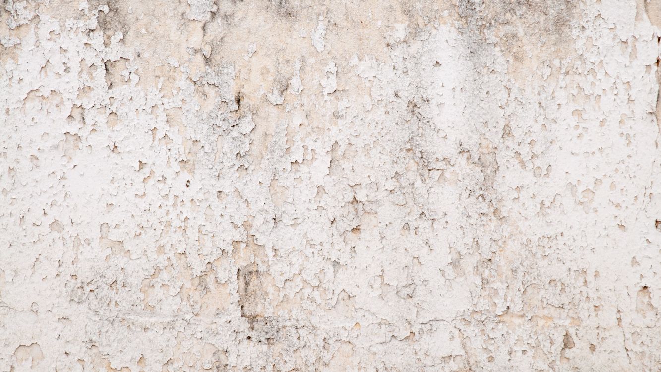 Piso de Concreto Blanco y Marrón. Wallpaper in 2560x1440 Resolution