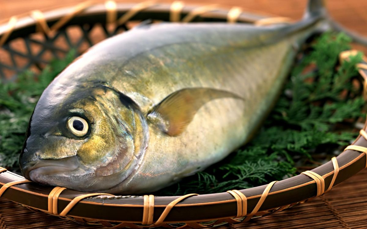 silver fish on brown woven basket