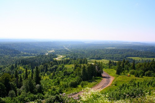 Image green trees on mountain during daytime