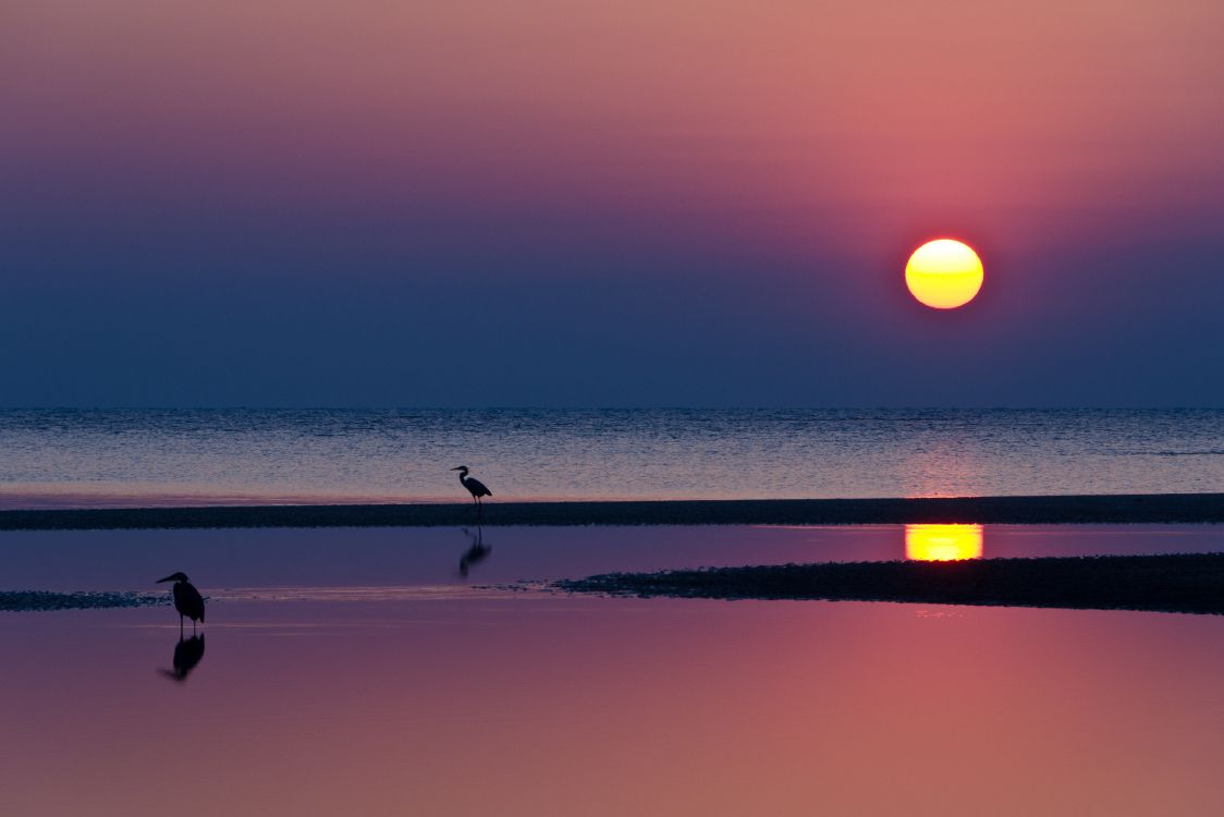Silhouette Einer Person, Die Bei Sonnenuntergang am Strand Spazieren Geht. Wallpaper in 4861x3241 Resolution