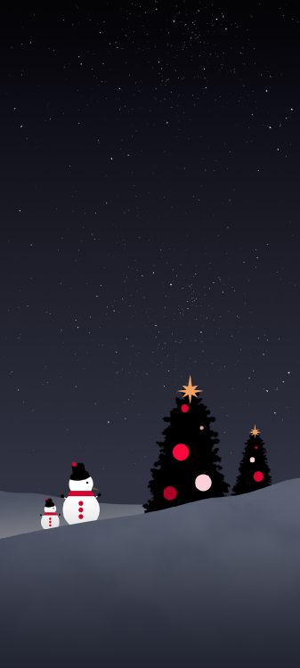 Le Jour De Noël, IOS, Arbre de Noël, Evergreen, Plantes Ligneuses. Wallpaper in 1080x2400 Resolution