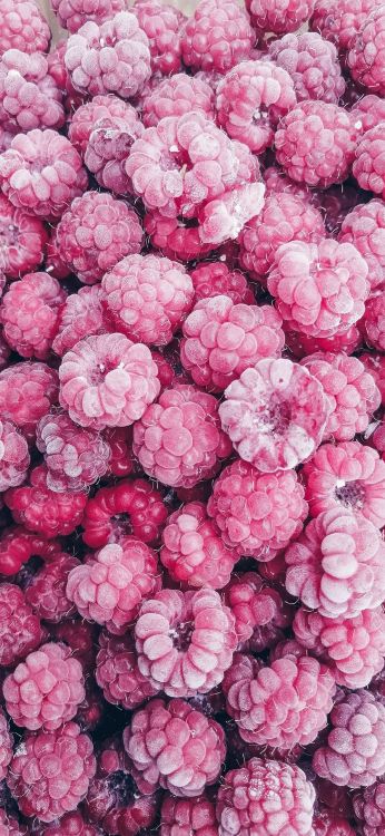 Framboise, Pastèque, Fruits, Fraise Framboise, Dessert. Wallpaper in 1080x2340 Resolution