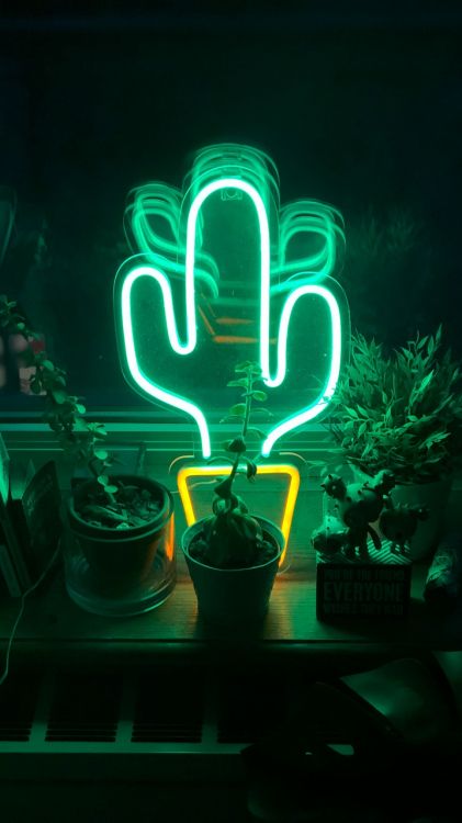 Cactus de Neón, la Iluminación de Neón, Neon, Luz, Diodo Emisor de Luz. Wallpaper in 720x1280 Resolution