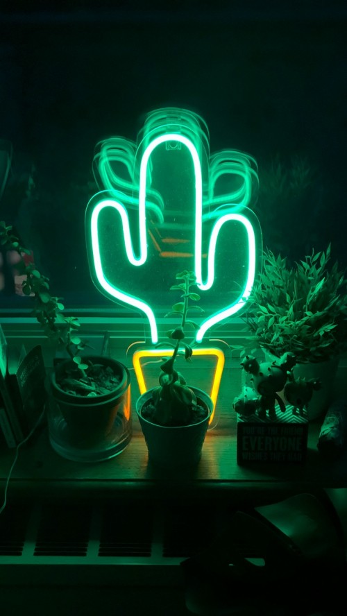 Image neon cactus, neon sign, neon lighting, neon, light