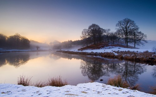 Image body of water near trees during daytime