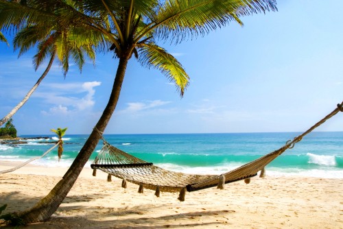 Image brown wooden beach lounge chair on beach during daytime