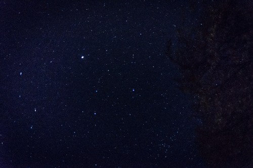 Image black and white starry night