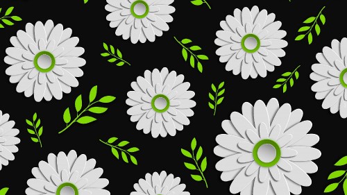 Image white and black flower illustration