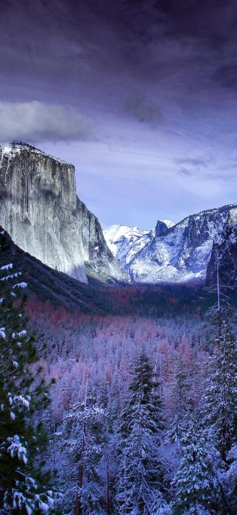 Yosemite National Park, Macbook Air, Äpfeln, Natur, Bergigen Landschaftsformen. Wallpaper in 1420x3073 Resolution
