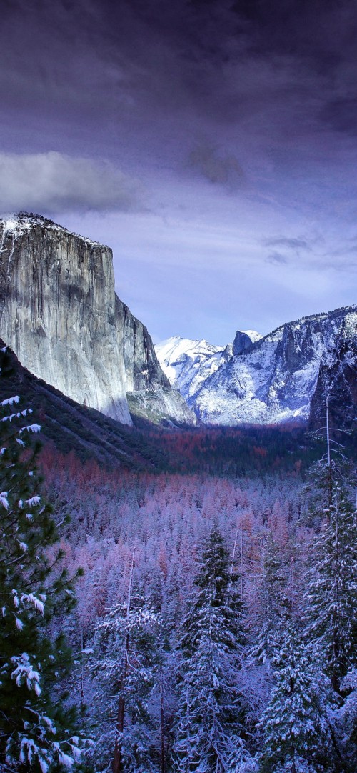 Image yosemite national park, macbook air, apples, nature, mountainous landforms