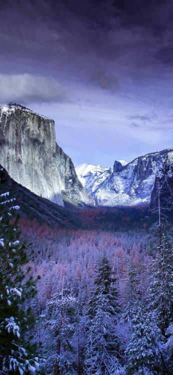 yosemite national park, macbook air, apples, nature, mountainous landforms