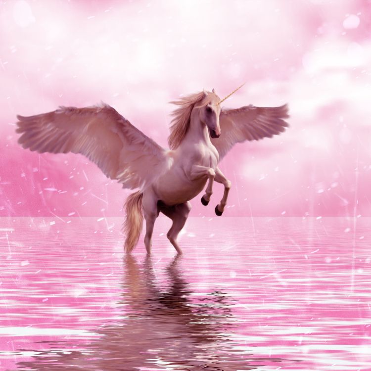 Unicornio, Pegasus, Ala, Rosa, Criatura Mítica. Wallpaper in 3000x3000 Resolution