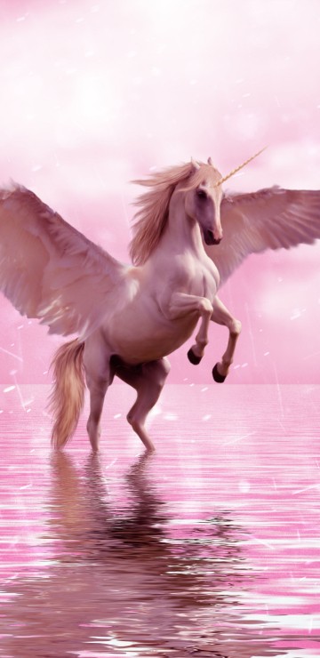 Image unicorn, pegasus, horse, wing, pink