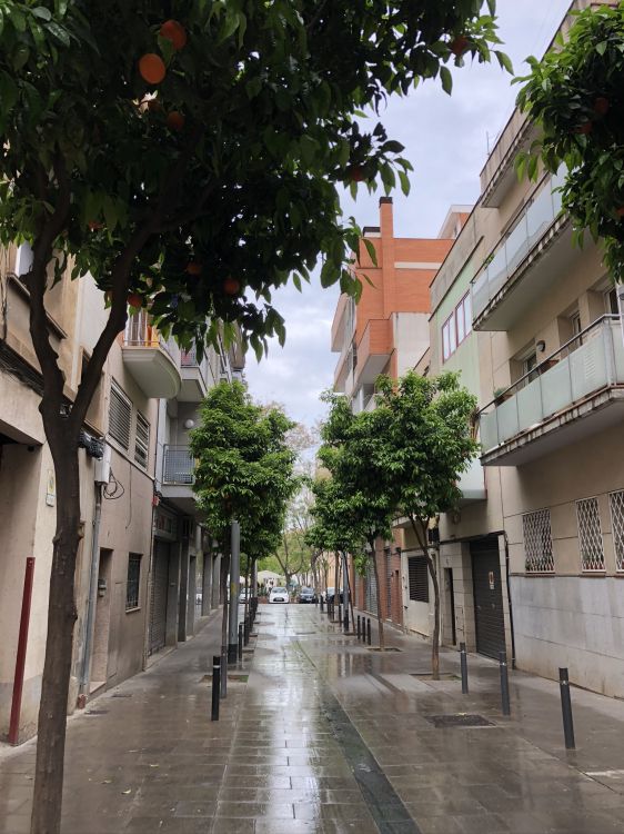 科学, 生物学, 街区, 基础设施, 街 壁纸 1536x2048 允许