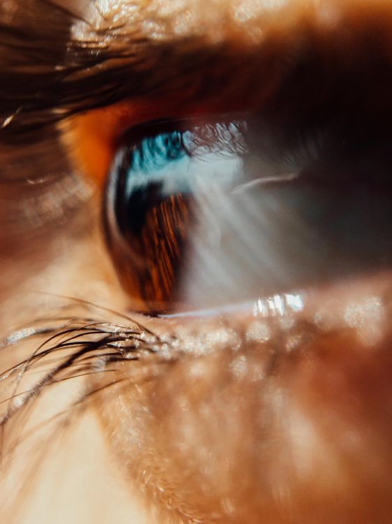 Fondos de Pantalla Persona Con Ojos Azules en Fotografía de Cerca, Imágenes y Fotos Gratis Fondos de Pantalla Persona Con Ojos Azules en Fotografía de Cerca, Imágenes y Fotos Gratis