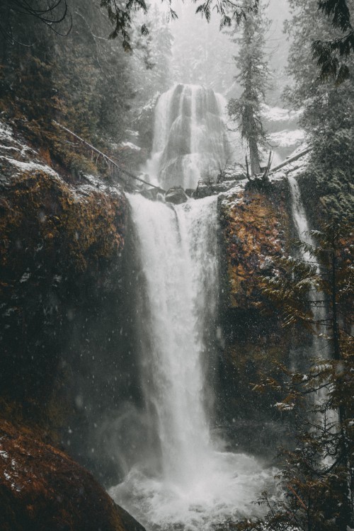 Image water, tree, body of water, chute, nature