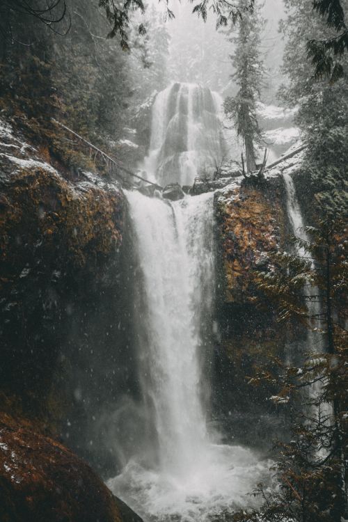 water, tree, body of water, chute, nature