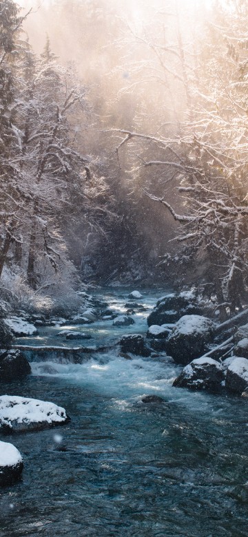 Image river in winter, snow, winter, river, Fraser River