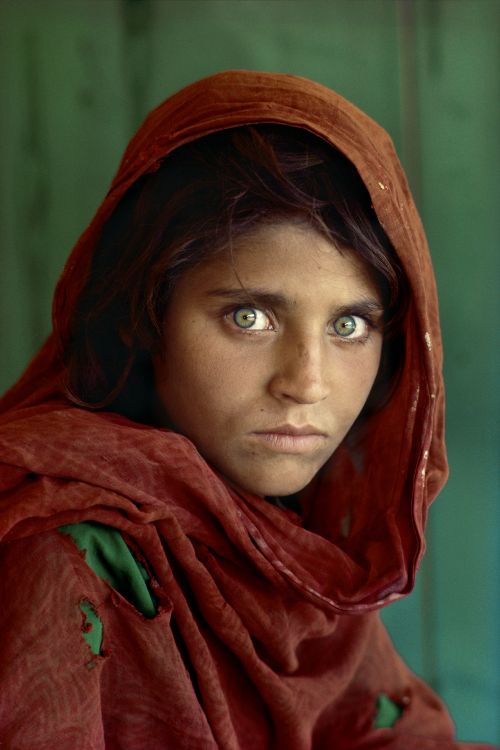 Niña Afgana, Afganistán, National Geographic, Entrecejo, Ceja. Wallpaper in 4281x6420 Resolution