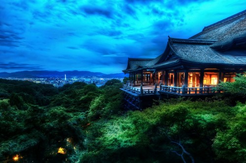 Image brown wooden house on green forest during night time