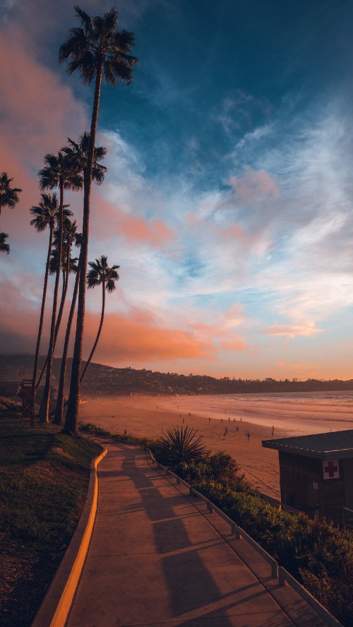 Image the dictionary of obscure sorrows, la jolla, cloud, plant, afterglow