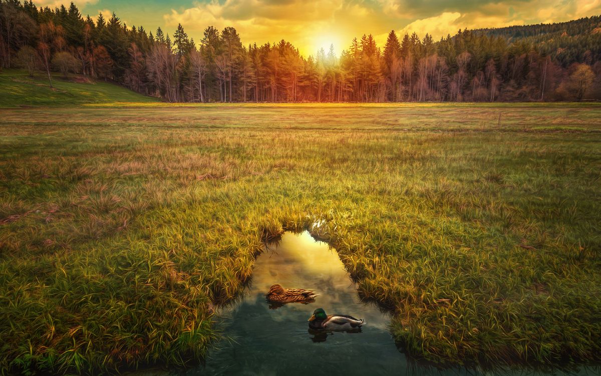 Campo de Hierba Verde Cerca Del Río Durante el Día. Wallpaper in 3840x2400 Resolution