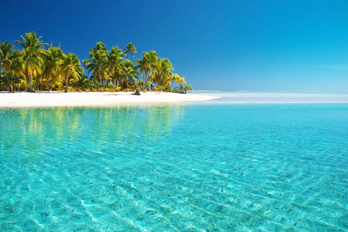 Grüne Palmen am Blauen Meer Unter Blauem Himmel Tagsüber During. Wallpaper in 1920x1280 Resolution