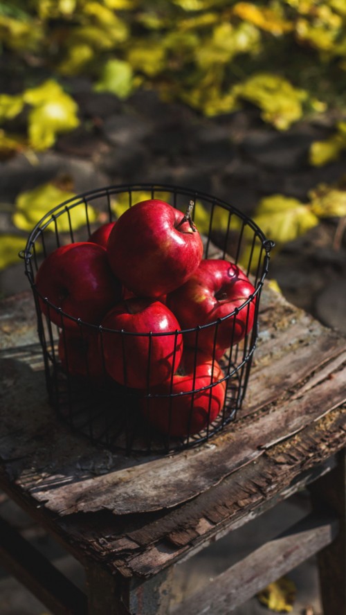 Image fruit, food, plant, natural foods, twig