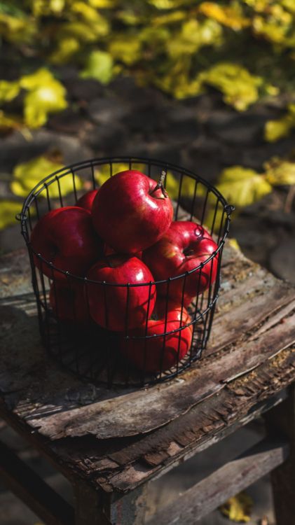 fruit, food, plant, natural foods, twig