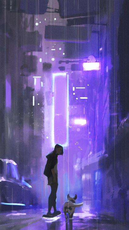 艺术, 紫色的, 光, 紫罗兰色, 音乐场所 壁纸 2160x3840 允许