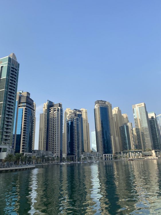 dubai, tower block, daytime, city, condominium