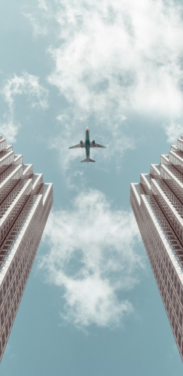 Image black bird flying over the building during daytime