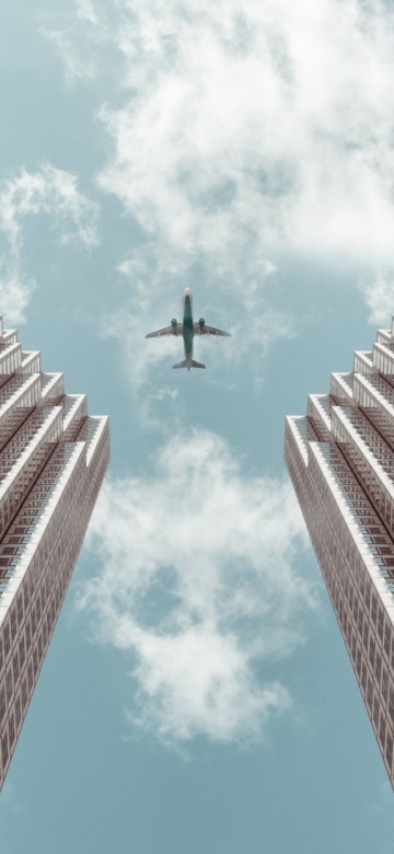 Image black bird flying over the building during daytime