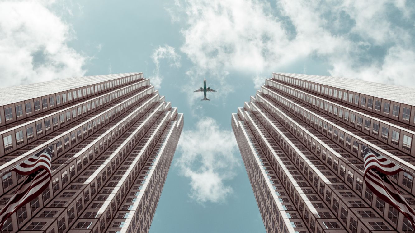 black bird flying over the building during daytime