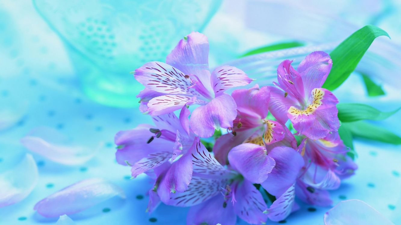 purple and white flower in water