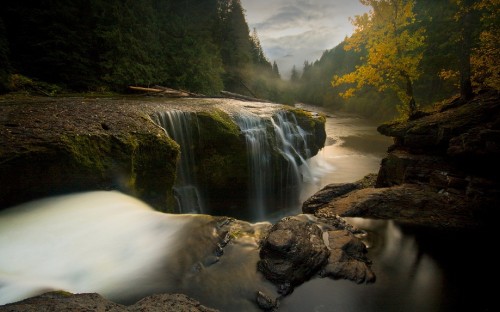 Image water falls between green trees during daytime