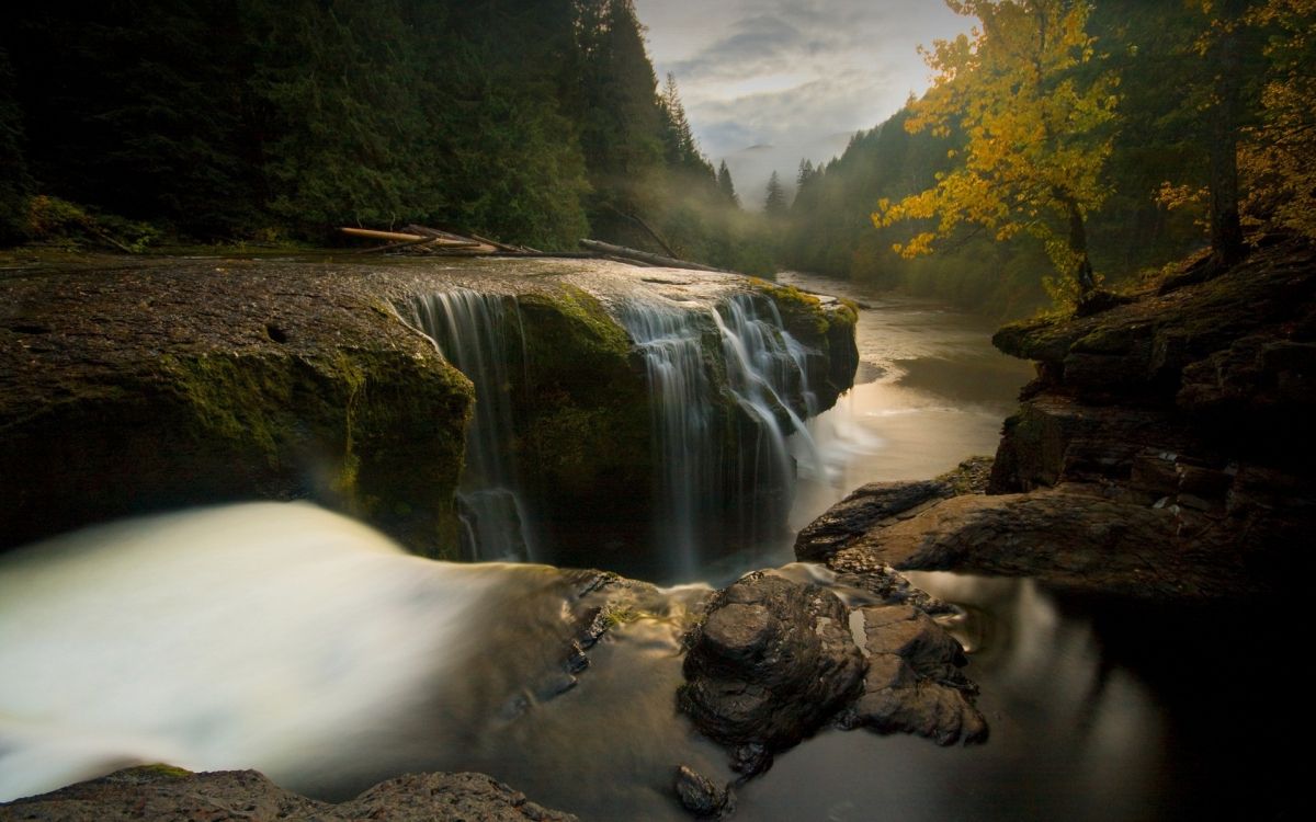 water falls between green trees during daytime