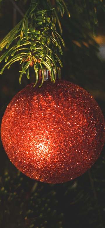 Image christmas decoration, christmas ornament, Christmas Day, christmas tree, holiday