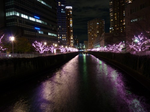 Image purple lights on bridge during night time