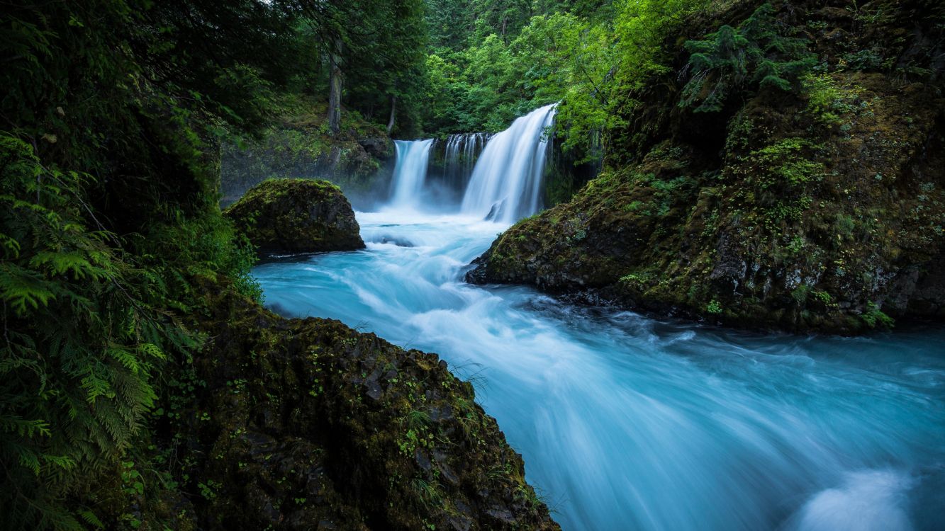 Cascadas en Medio de Árboles Verdes. Wallpaper in 2560x1440 Resolution