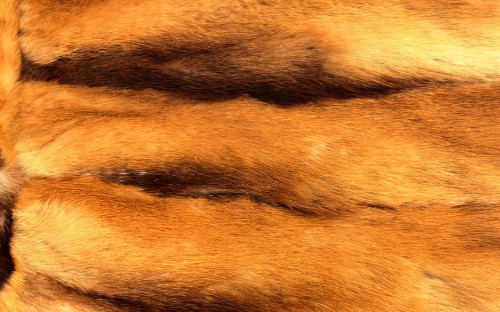 Image brown and black fur textile