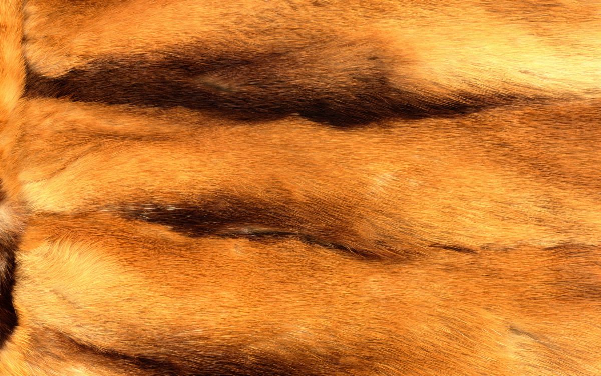 Brown and Black Fur Textile. Wallpaper in 2560x1600 Resolution