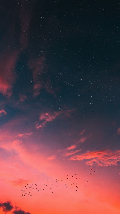日落, 明星, 日出, 气氛, 性质 壁纸 2160x3840 允许